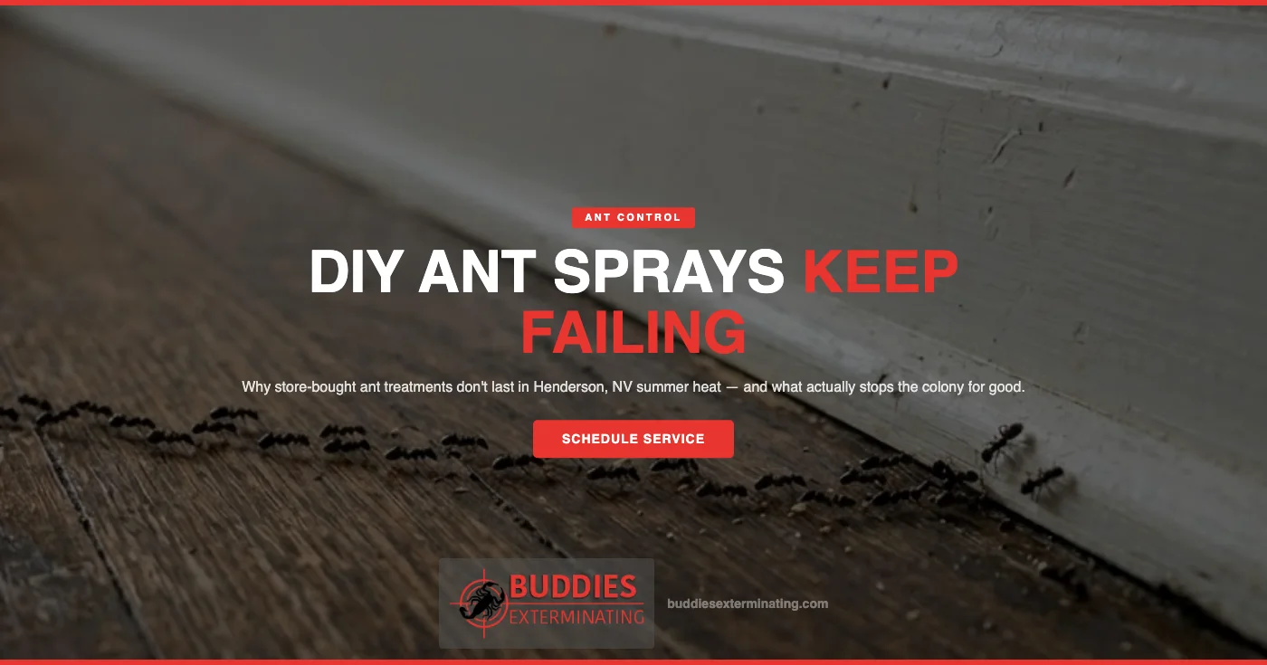 Why DIY Ant Sprays Keep Failing in Henderson, NV Homes This Summer