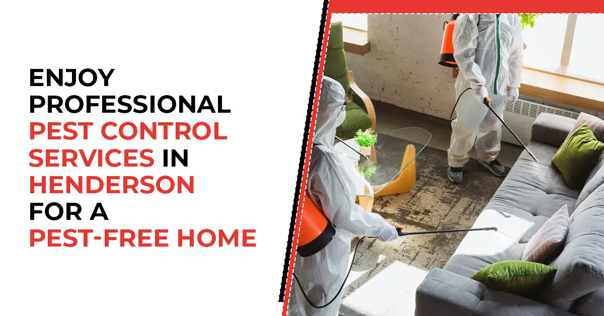 Professional Pest Control in Henderson | Buddies