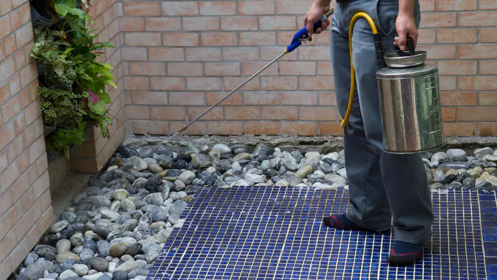 How Home Maintenance Can Help Exterminate Pests