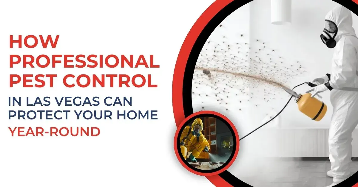 Year-Round Pest Control in Las Vegas | Buddies