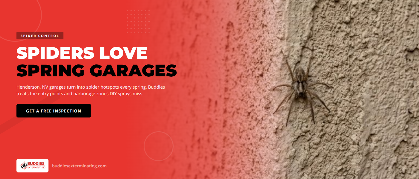 Why Spider Activity Surges in Henderson, NV Garages Each Spring